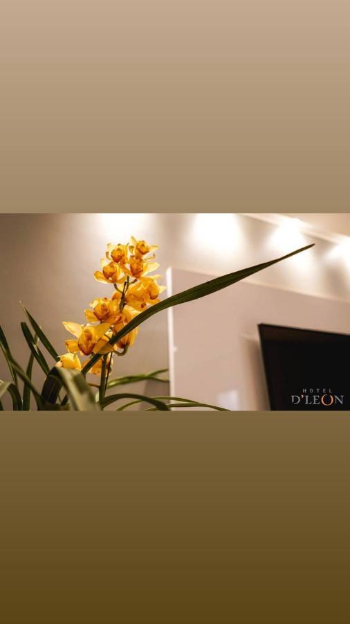 Hotel D'Leon Gurupi Dış mekan fotoğraf